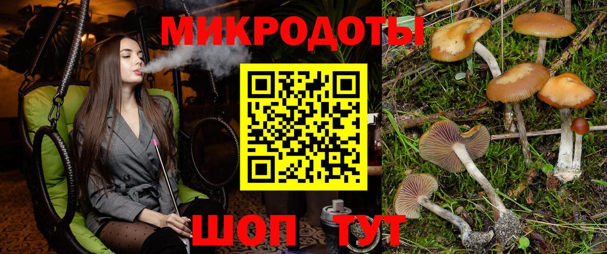 Псилоцибиновые грибы прущие грибы  Галлюциногенные грибы Cubensis  Менделеевск  купить   Вход с VPN 